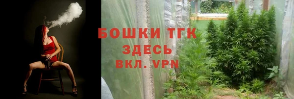 2c-b Богородицк