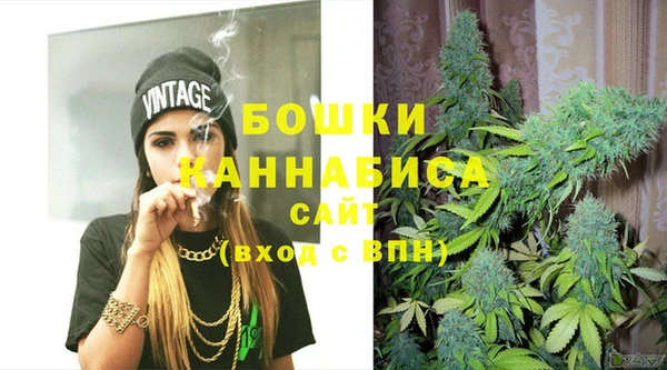 2c-b Богородицк