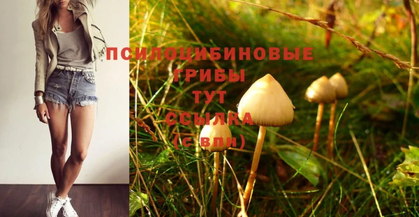 марки lsd Богданович