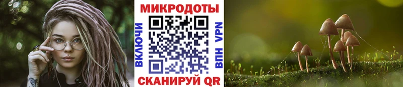 Галлюциногенные грибы MAGIC MUSHROOMS  Емва 